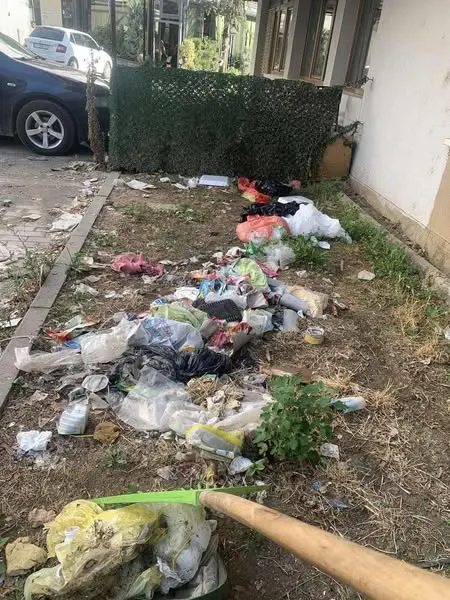 Pastrim, kositje dhe mirëmbajtje në hapësirat pranë banesave kolektive