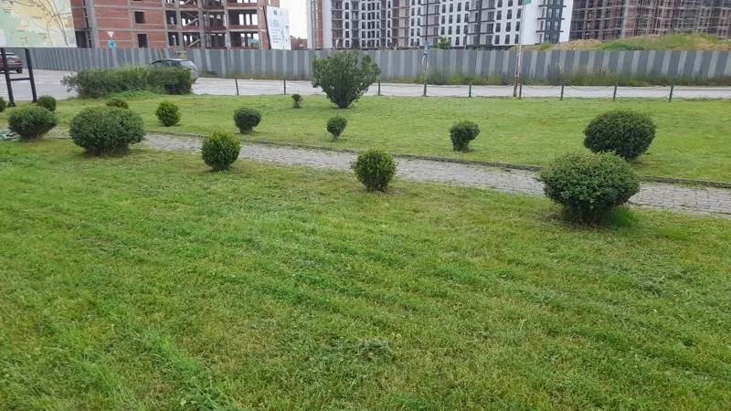 Pastrimi i parkut dhe kositja e barit tek Lapidari "Driton Islami". 🍀