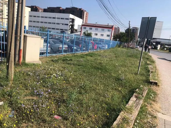 Punonjësit 👷‍♂️ e operativës të NPL "Ambienti" Ferizaj, ishin në mirëmbajtjen e hapësirës gjelbruese para Stacionit Policor në Ferizaj.