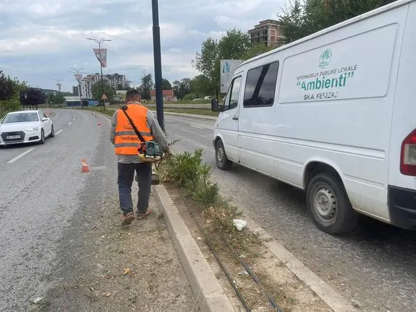 Pastrimi i barit dhe mirëmbajtja e drunjeve dekorativ në vijën ndarëse të rrugës "Brahim Ademi".