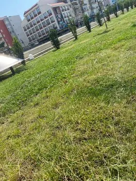 Kositja e barit, mirëmbajtja e hapësirave të gjelbërta mbi nënkalim (prapa Postës), dhe tek Lapidari "Ramadan Rexhepi". 🍀