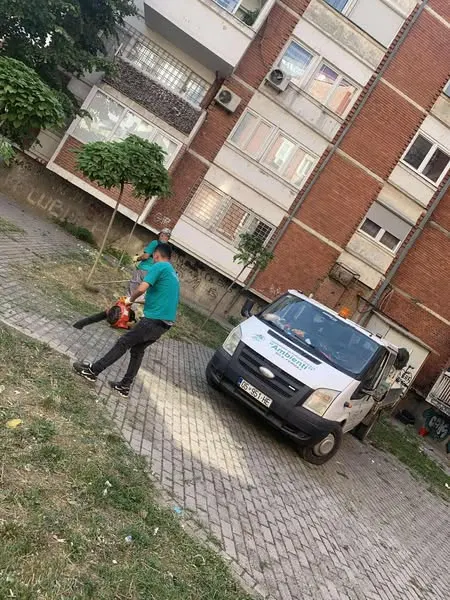 Pastrim, kositje dhe mirëmbajtje në hapësirat pranë banesave kolektive