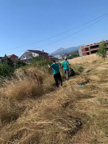 Skedari shtesë