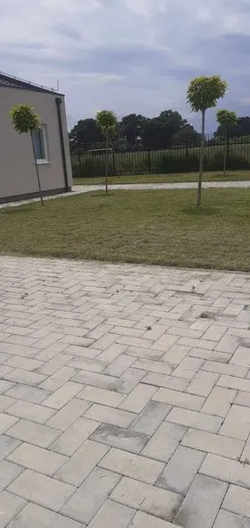 Mirëmbajtja e hapësirës së gjelbërt ,kositja dhe pastrimi i barit tek "Qendra e Mjekësisë Familjare "në fshatin Softaj. 🍀