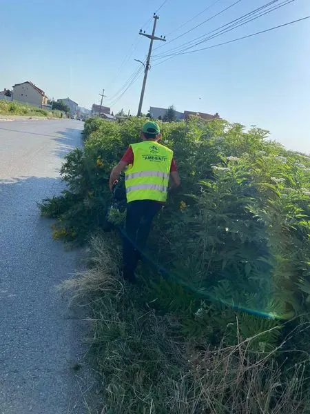 Me kujdes dhe përkushtim, ekipet tona në Rrugën "Naim Beka", u kujdesen për çdo detaj të gjelbërimit përreth jush 🌿✂️