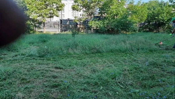 Punonjësit e hapësirave gjelbruese të NPL "Ambienti", gjatë ditës ishin në aksion të kositjes së barit dhe pastrimit të oborrit nga mbeturinat e ndryshme tek Qendra për Aftësim Profesional në Ferizaj🧹🏣.
