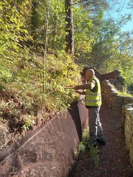 Pastrimi dhe mirëmbajtja në aksion! 🧹🌿