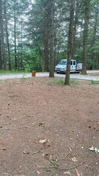 Pastrimi i mbeturinave në parkun e pishave në fsh.Rahovic. 🌲 E Diel /🍀