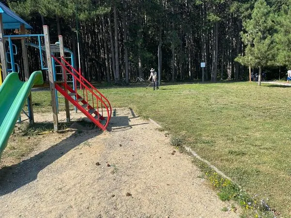 🌲🌲🌲Parku Liria🌲🌲🌲 Mirëmbajtja e Parkut Liria nga punonjësit e ndërmarrjes, tregon  qartë për përkushtimin tonë për të gjelbërtën.