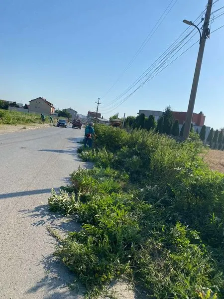 Me kujdes dhe përkushtim, ekipet tona në Rrugën "Naim Beka", u kujdesen për çdo detaj të gjelbërimit përreth jush 🌿✂️