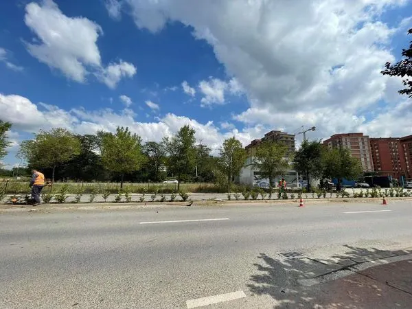 Heqja e barit, mirëmbajtja dhe ujitja e Drunjëve Dekorativ në vijën ndarëse të rrugës "Brahim Ademi", pjesa e dytë!