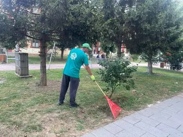 Mirëmbajtja e hapësirës gjelbëruese, mbledhja dhe largimi i mbeturinave tek parku i Bibliotekës "Sadik Tafarshiku".