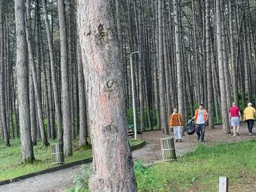 Pastrimi i hapësirës së gjelbërt ,mbledhja e mbeturinave te parku "Liria". 🌲 🍀
