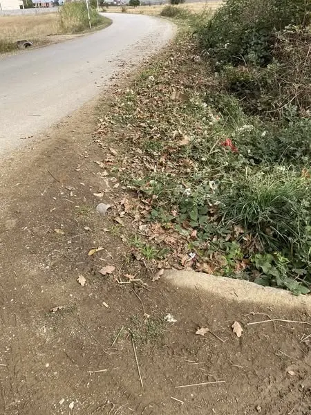 Edhe pse ditët janë ftohur dhe shiu nuk ndalet, punëtorët tanë të përkushtuar të NPL "Ambienti" Sh.A vazhdojnë me plot zell misionin e tyre për një mjedis më të pastër dhe më të bukur për të gjithë!