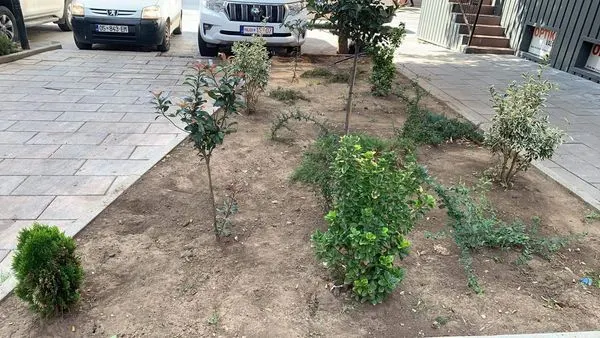 Me këto pamje të mirëmbajtjes të Drunjëve Dekorativ 👷🏻‍♂️🧤🍀🌳 nëpër mini parqet në Sheshin "Tony Blair" ju dëshirojmë një vikend të këndshëm.