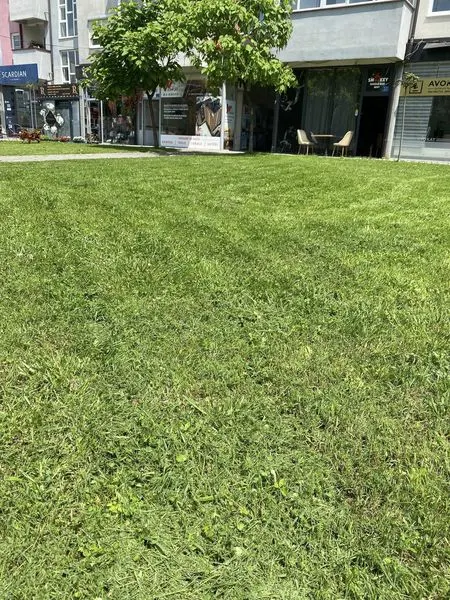 Kositja e barit dhe pastrimi i hapësirës së gjelbërt tek Lapidari "Ahmet Kaçiku".