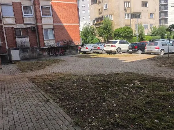 Përfundimi i pastrimit nga mbeturinat dhe kositjes së barit nga punëtorët e pa lodhur të hapësirave të gjelbërta, punët e kryera në oborrin e banesave kolektive në rrugën "Remzi Hoxha".