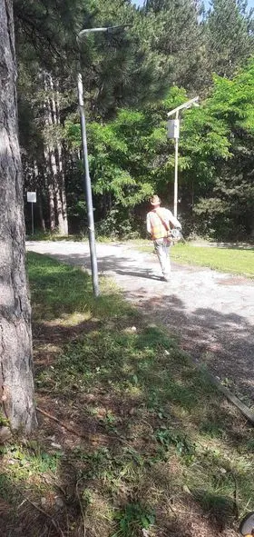 Pastrimi i mbeturinave në hapësirën e gjelbërt tek parku i pishave "Liria". 🍀