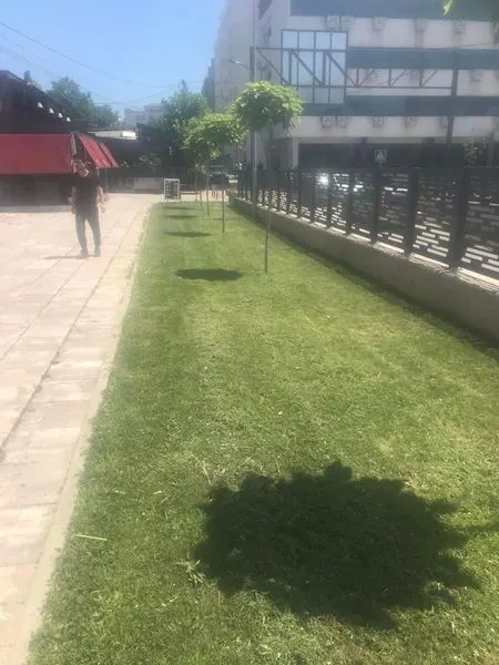 Mirëmbajtja e hapësirës së gjelbërt ,kositja dhe pastrimi i barit në sheshin "Adem Jashari". 🍀