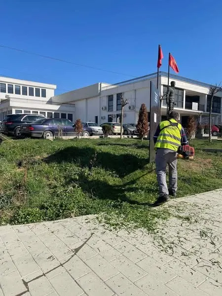 Skedari shtesë