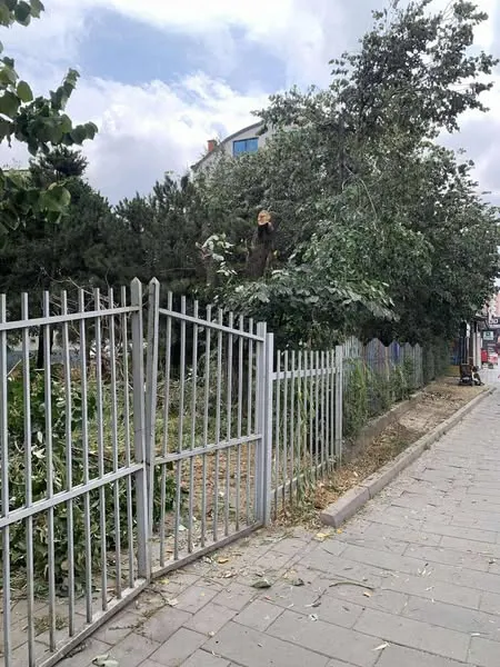 📍Në oborrin e Gjimnazit “Dr. Shaban Hashani” – Ferizaj