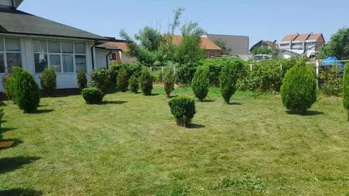 Kositja, pastrimi i barit dhe mirëmbajtja e hapësirave të gjelbërta tek "Qendra e Mjekësisë Familjare 4". 🍀
