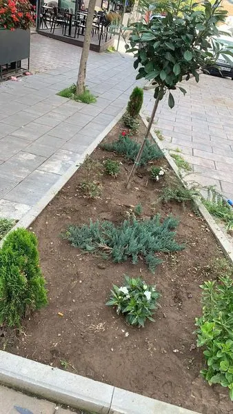 Me këto pamje të mirëmbajtjes të Drunjëve Dekorativ 👷🏻‍♂️🧤🍀🌳 nëpër mini parqet në Sheshin "Tony Blair" ju dëshirojmë një vikend të këndshëm.