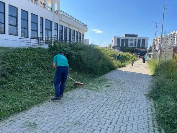 Gjimnazi“Kuvendi i Arbërit”, dhe Shkollën Profesionale “Zenel Hajdini”.