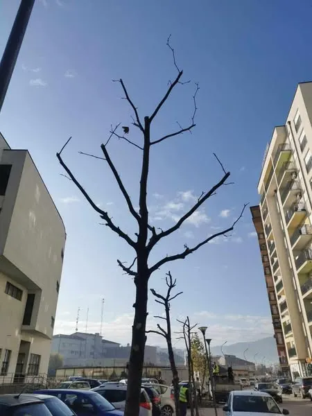 Përfundimi i punëve të radhës