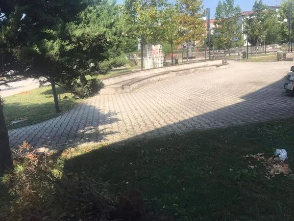 Mbjellja  e pishave 🌳🌳 në parkun e sheshit "Ismail Kadare", kositja, ujitja e barit, largimi i mbeturinave.