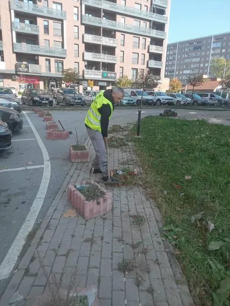 Skedari shtesë