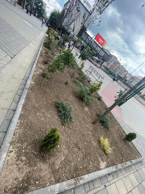 Mihja e tokës dhe mirëmbajtja e drunjëve dekorativ në sheshin "Adem Jashari".