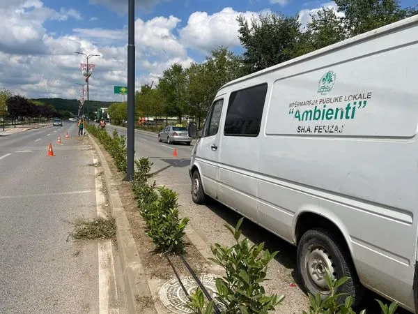 Heqja e barit, mirëmbajtja dhe ujitja e Drunjëve Dekorativ në vijën ndarëse të rrugës "Brahim Ademi", pjesa e dytë!