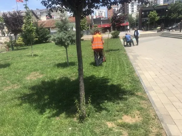 Vendosja e flamujve të rinjë , pastrimi dhe kositja e barit te Lapidari "Rexhep Bislimi". 🍀 🇦🇱