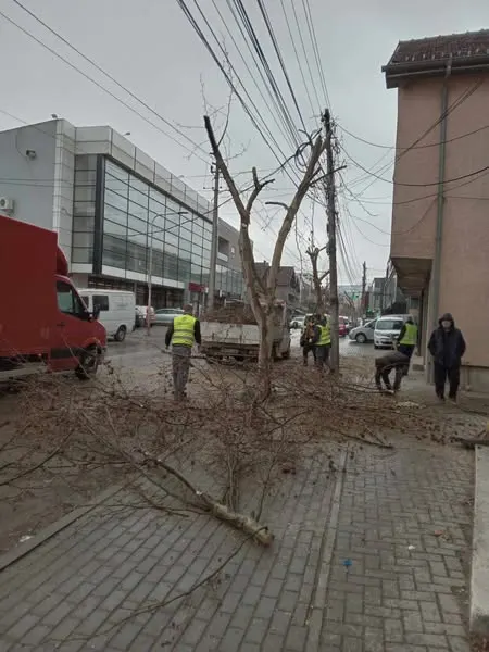 Skedari shtesë