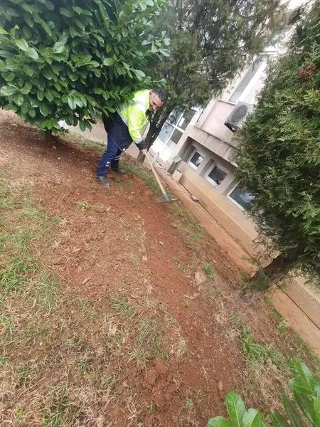 Qendra Kryesore e Mjekësisë Familjare.