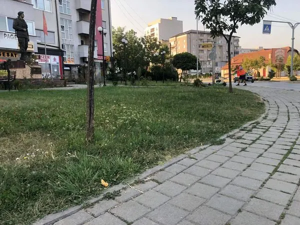 Mirëmbajtja dhe kositja e hapësirës së gjelbërt, rrmihja e pjesës rreth lapidarit të drunjëve dekorativ, ujitja e hapësirës gjelbruese, larja e lapidarit 💦dhe largimi i mbeturinave tek parku i Lapidarit "Ahmet Kaçiku", nga punëtorët 🦺🧤🧹  e palodhur dh