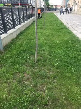 Pastrimi dhe kositja e barit në hapësirat e gjelbërta të Parkut te Stacioni i Trenit.