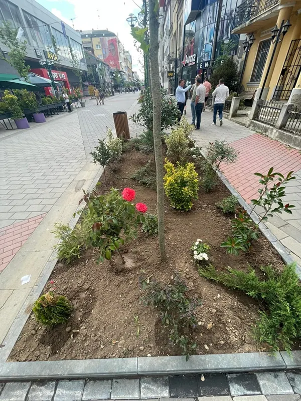 Mihja e tokës dhe mirëmbajtja e drunjëve dekorativ në sheshin "Adem Jashari".