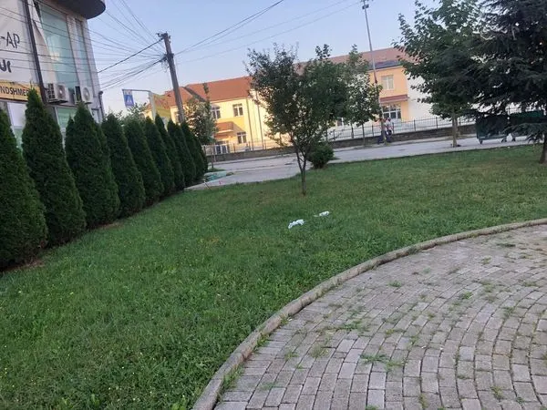 Me këto pamje tek Teatri "Adriana", ju dëshirojmë një vikend të mbarë për të gjithë qytetarët.