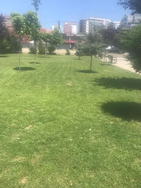 Mirëmbajtja e hapësirës së gjelbërt ,kositja dhe pastrimi i barit në sheshin "Adem Jashari". 🍀