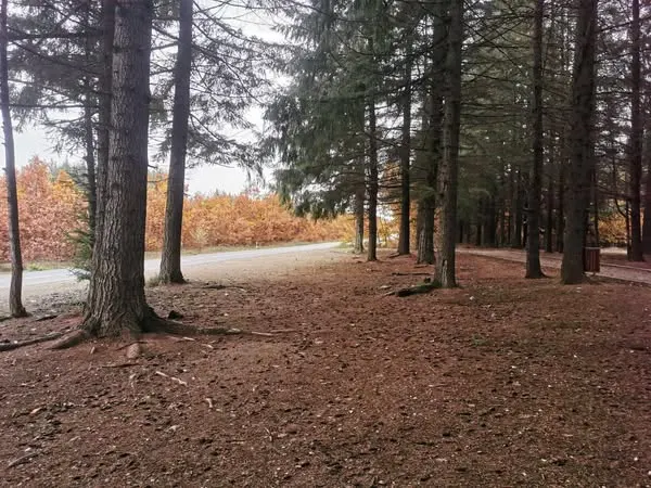 Për një ambient më të pastër dhe më të bukur!