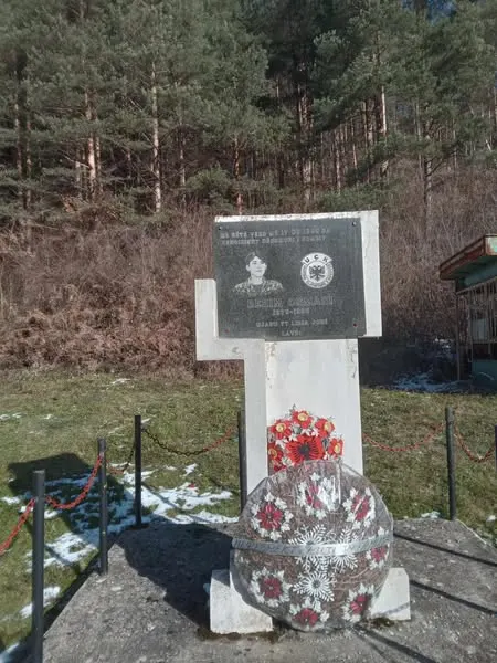 Përgatitje për Ditën e Flamurit!