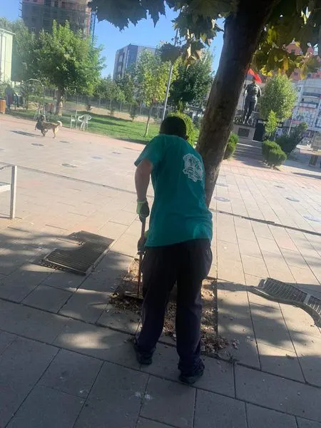 Në këtë dinamikë të jetës, nevojën më të madhe e kemi për natyrë të pastër dhe të gjelbërt.