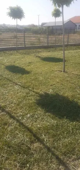 Mirëmbajtja e hapësirës së gjelbërt ,kositja dhe pastrimi i barit tek "Qendra e Mjekësisë Familjare "në fshatin Softaj. 🍀