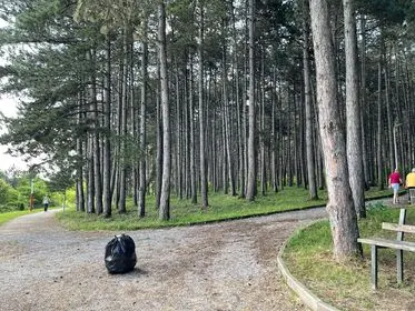 Pastrimi i hapësirës së gjelbërt ,mbledhja e mbeturinave te parku "Liria". 🌲 🍀