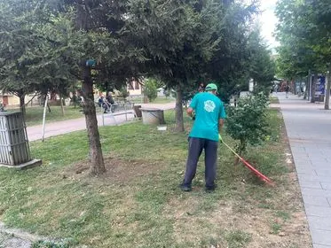 Mirëmbajtja e hapësirës gjelbëruese, mbledhja dhe largimi i mbeturinave tek parku i Bibliotekës "Sadik Tafarshiku".