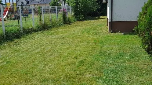 Kositja, pastrimi i barit dhe mirëmbajtja e hapësirave të gjelbërta tek "Qendra e Mjekësisë Familjare 4". 🍀