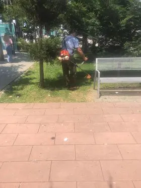 Kositja e barit dhe pastrimi i hapësirës së gjelbërt te Biblioteka "Sadik Tafarshiku". 🍀