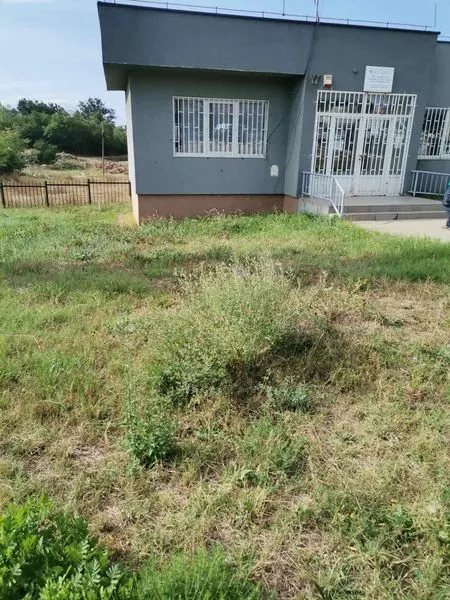 Punonjësit e hapësirave gjelbruese të NPL "Ambienti", sot ishin të angazhuar edhe në mirëmbajtjen e hapësirave gjelbruese, kositjen barit dhe pastrimin e kubëzave tek Qendra e Mjekësisë Familjare dhe Biblioteka "Sadik Tafarshiku", në Dardani.
